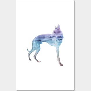 Blue & Purple Waves Whippet Posters and Art